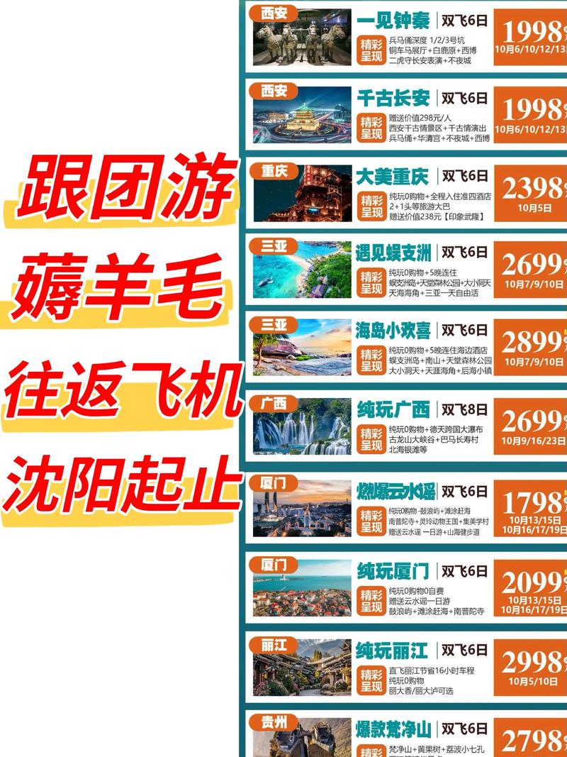 沈阳旅游团
