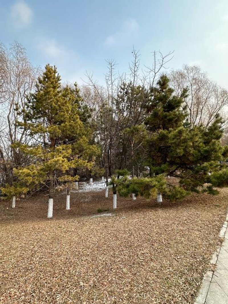 沈阳崇山路门市部：繁华背后的商业脉搏